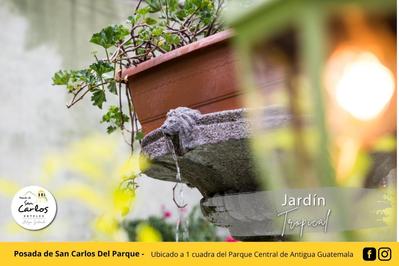 De San Carlos Del Parque 3* Antigua